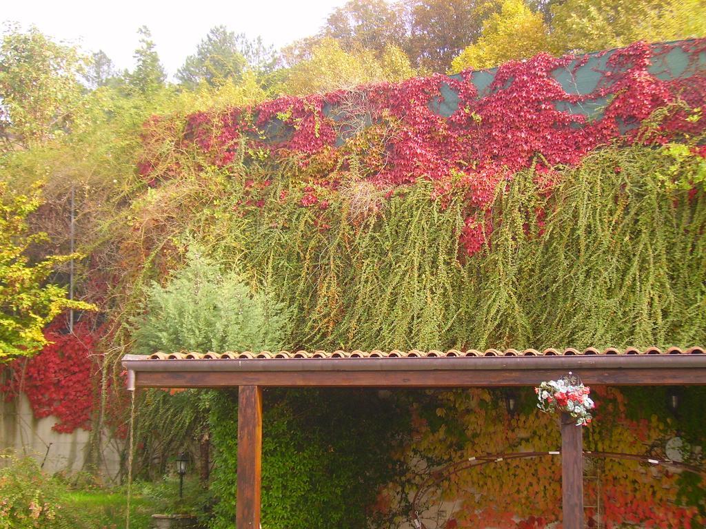 B&B Margherita Le Fiabe SantʼAgata Feltria Kültér fotó