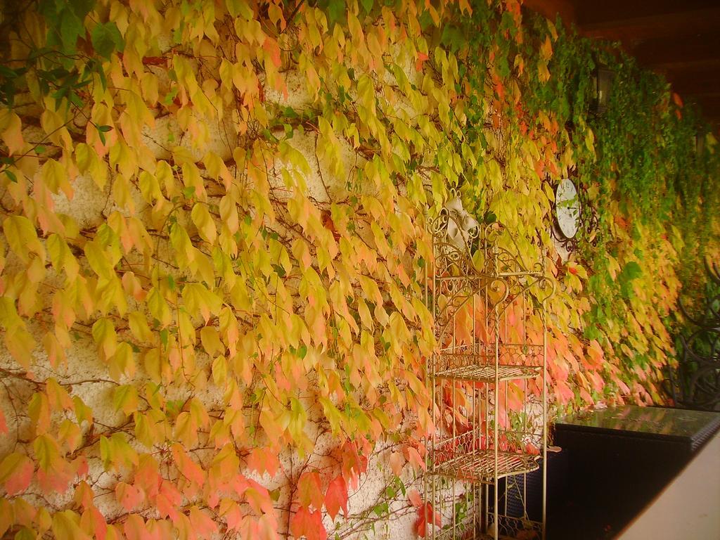 B&B Margherita Le Fiabe SantʼAgata Feltria Kültér fotó