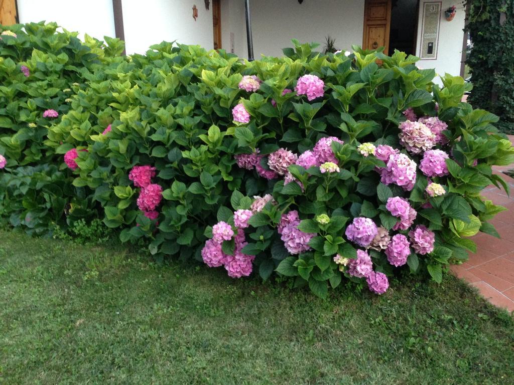 B&B Margherita Le Fiabe SantʼAgata Feltria Kültér fotó